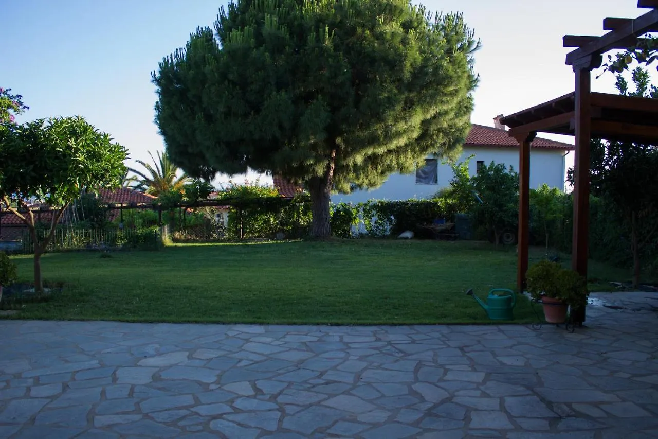 Pinehouse King Suite Nikiti  0*, Nikiti (Sithonia) Greece